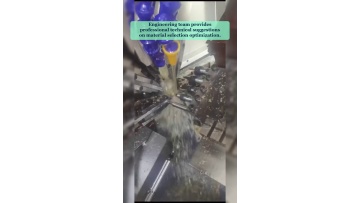 Video 33
