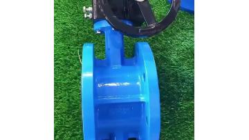 Flange Butterfly Valve
