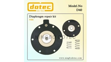 D40 diaphragm