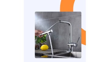 French Brass Single Handle Polished Kitchen Tap with Sprayer1