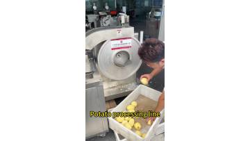 Potato Processing Line