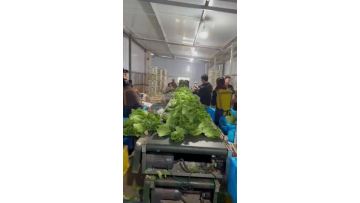 Warehouse walkthrough video