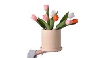 Bisque Unglazed Ceramic Flower Pot for Home Library and Garden Decoration1