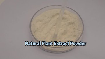 New Listing High Quality Nutritional Supplement Bromelain Enzyme Powder Pineapple Extract Plant Powder1