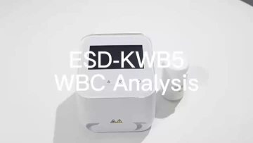 KWB5