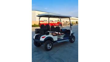 workshop of colors of golf carts
