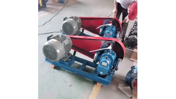 Roots oil pump High viscosity liquid transfer pump Insulated rotor pump Belt connection1