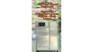 ET Series Ozone Generator for Aquaculture – Kill Pathogens, Boost Oxygen, Higher Survival Rate