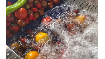 Fruit and vegetable washing machine
