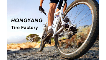 Bicycle tire show