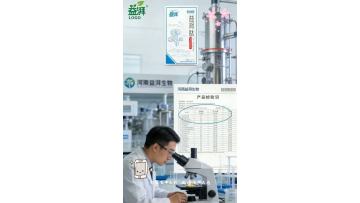 Early supportive nutrition solutions for canine and feline chronic kidney disease (CKD)