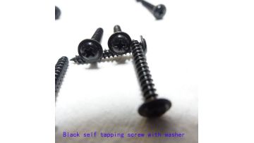 black screws (2)