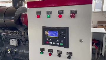 Gas Genset Testing
