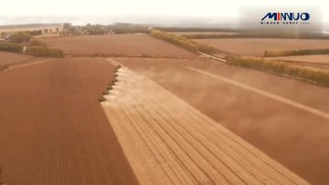 combine harvester for sale