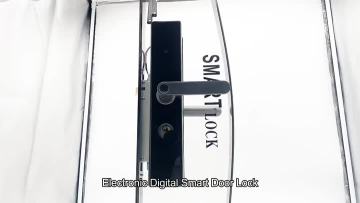 Smart ttlock handle Password door lock DLD15T 