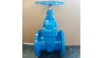 Choice China Supply Nrs Resilient Seat Gate Valve for Sale1