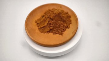 Green Coffee Extract Powder