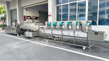 ST-SGQ Mango washing and drying line