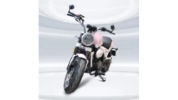 High Quality 250CC Motor Oil Brushless Motor Sport Bike Streetbikes Racing Motorcycle Motors1