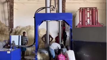 vdd sisal fiber