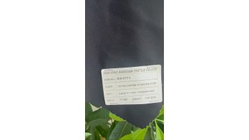 Polyester Rayon Fabric