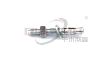 Q195 Production of carbon steel WEDGE ANCHOR