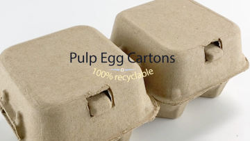 Eco-friendly pulp paper hot press egg tray from paper double egg tray factory1