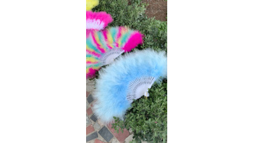 Wedding Bride Bouquet Black Peacock Feather Hand Fans Dance Fans Decoration1