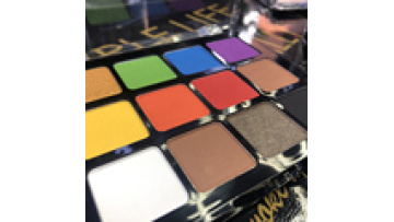 High Pigment 12 Color Eye Shadow Palette Cosmetics Eyeshadow Palette Private Label paletas de maquillaje1