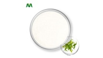 Sodium Alginate Textile Grade1