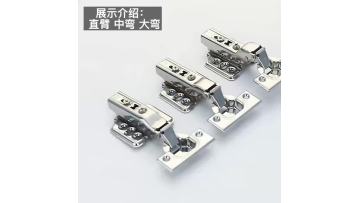 Stainless Steel Cabinet Hinge