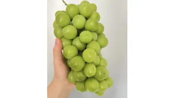 Consistent Size & Color Rose Green Grapes Muscat with Rigorous Pre-Shipment Inspection1