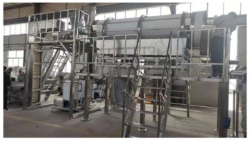 coated and roasted nut production line