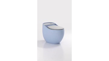 colorful toilet