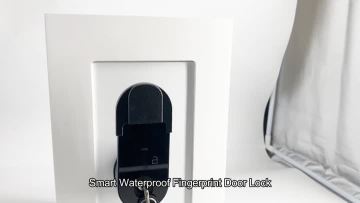 Smart Fingerprint Door Lock For Outdoor DMBA03A