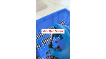 Mini Ball Screw