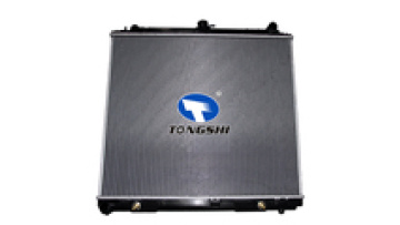 OEM 21460EA215 China Manufacturer Car Water Radiator for NISSAN FRONTIER 21460-EA215 731411