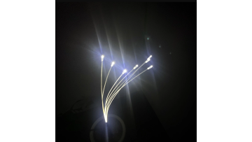 landscape lighting:firefly+dandelion