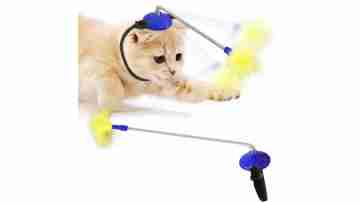 cat toy stocking