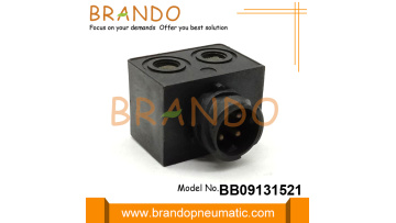 BB09131521