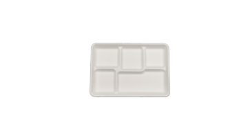 Sugarcane Bagasse Trays