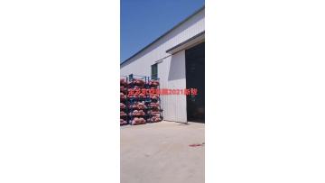 2021 new garlic cheapest and the best quality 