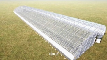China plastic film tunnel hydroponic tomato single-span agriculture greenhouse1