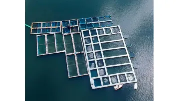 Modular Plastic Floating Pontoon Dock Walkway Brick Platform1