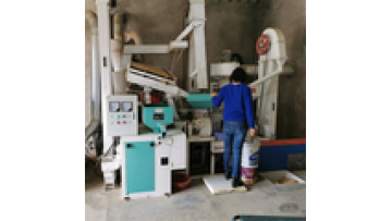 10 Ton per Day Combined Rice Mill Machine for Sale in Togo1