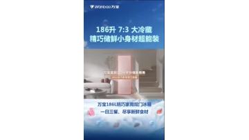 # Wanbao refrigerator BCD-186