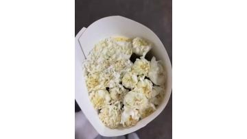 Cream Carnation