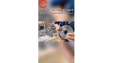 Stainless Steel Welded Flange
