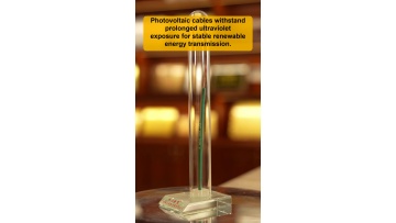 After sales full cycle support mechanism for overseas power project partners