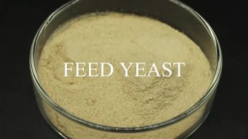 Feed Yeast 60% 